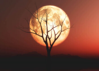 Buah dari Lima Waktu