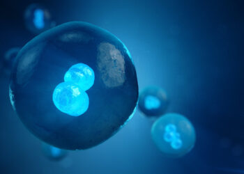 Penciptaan Nutfah (Zigot)