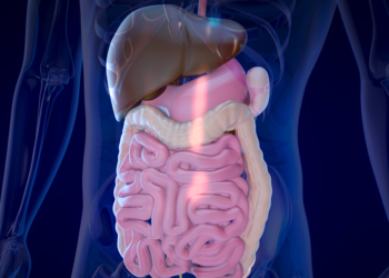 Hai Budi, Ini Aku Lambungmu