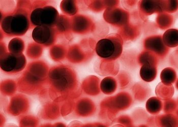 Sebuah Sistem Vital: Pembekuan Darah