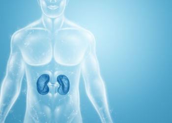 Hai Budi Ini Aku, Ginjalmu!