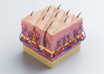 Hai Budi, Ini Aku Kulitmu!