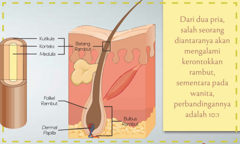 Inner Rambut Rambut dan Identitas - Majalah Mata Air