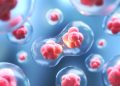 Apoptosis, Kanker dan Kematian
