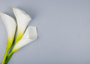 Kesempurnaan Matematika di Semesta