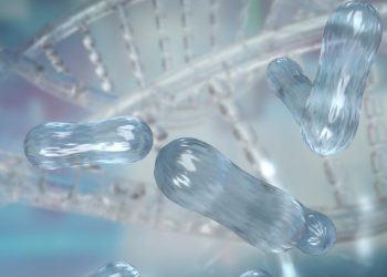 Mikrobiota, Si Mungil yang Berjasa