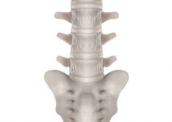 Organ Tubuh Tak Berguna(?)