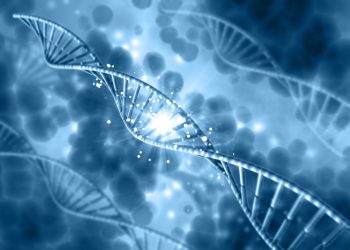 DNA Membantah Adanya Kebetulan