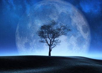 Kesehatan – Ilmu Pengetahuan – Teknologi (Edisi 16)