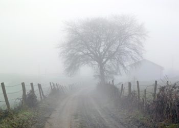 Munafik yang Berbicara Setan yang Bisu