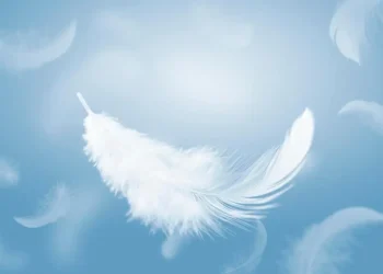 Jiwa yang Mengangkasa