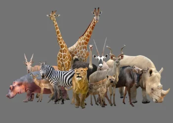 Hewan-hewan Perasa Gempa